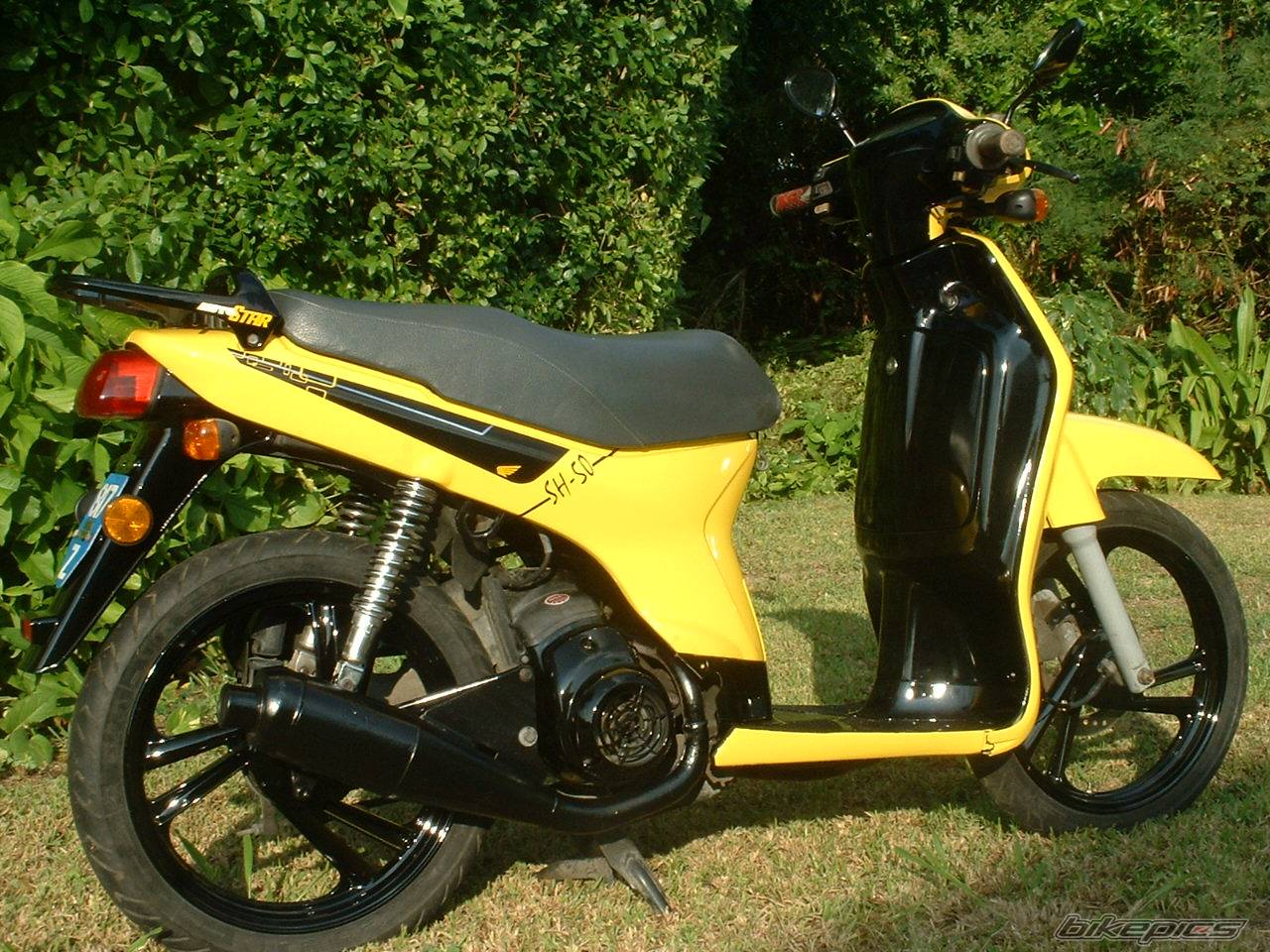 Photo 455454