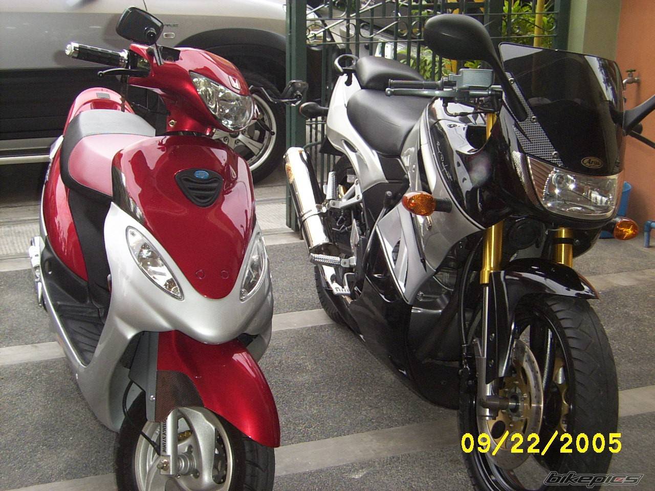 Photo 455514