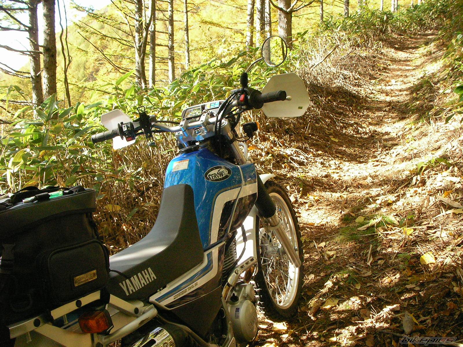 Bike Photo 455515