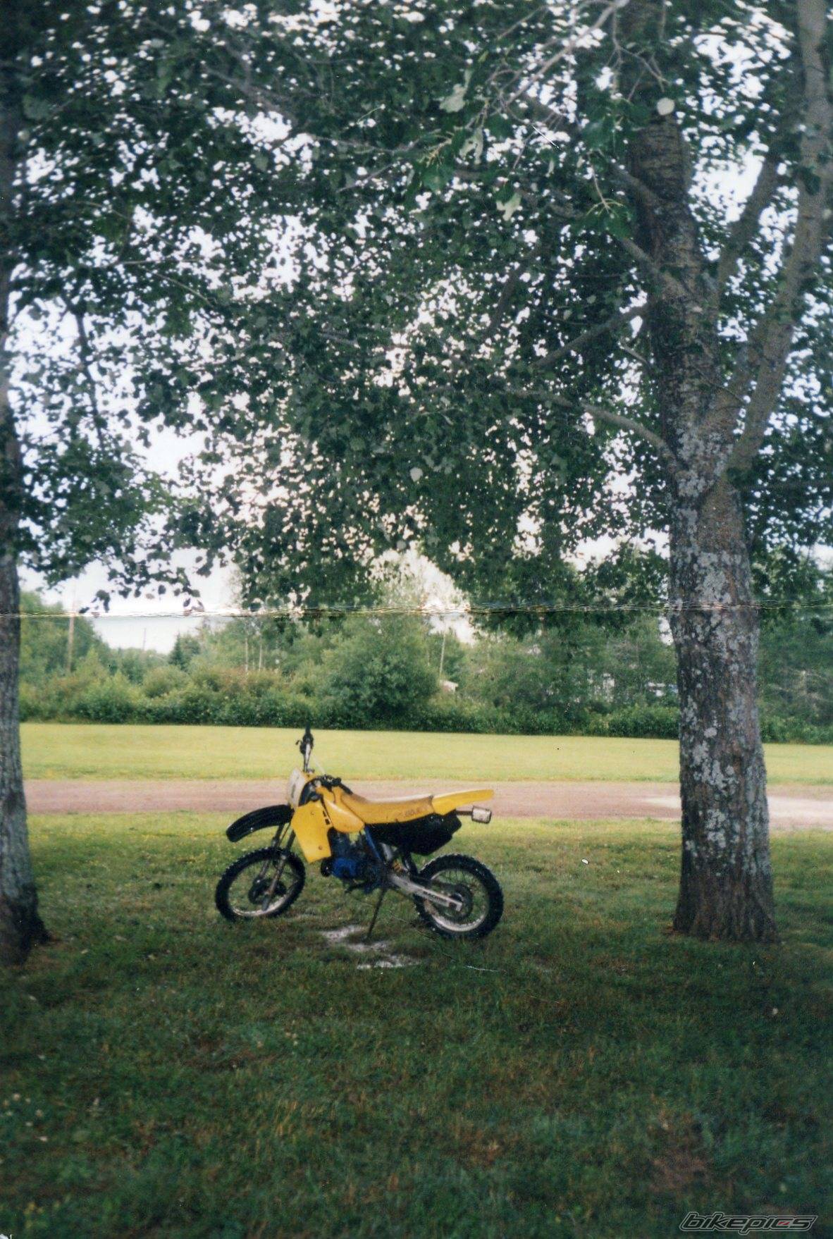 Photo 455695