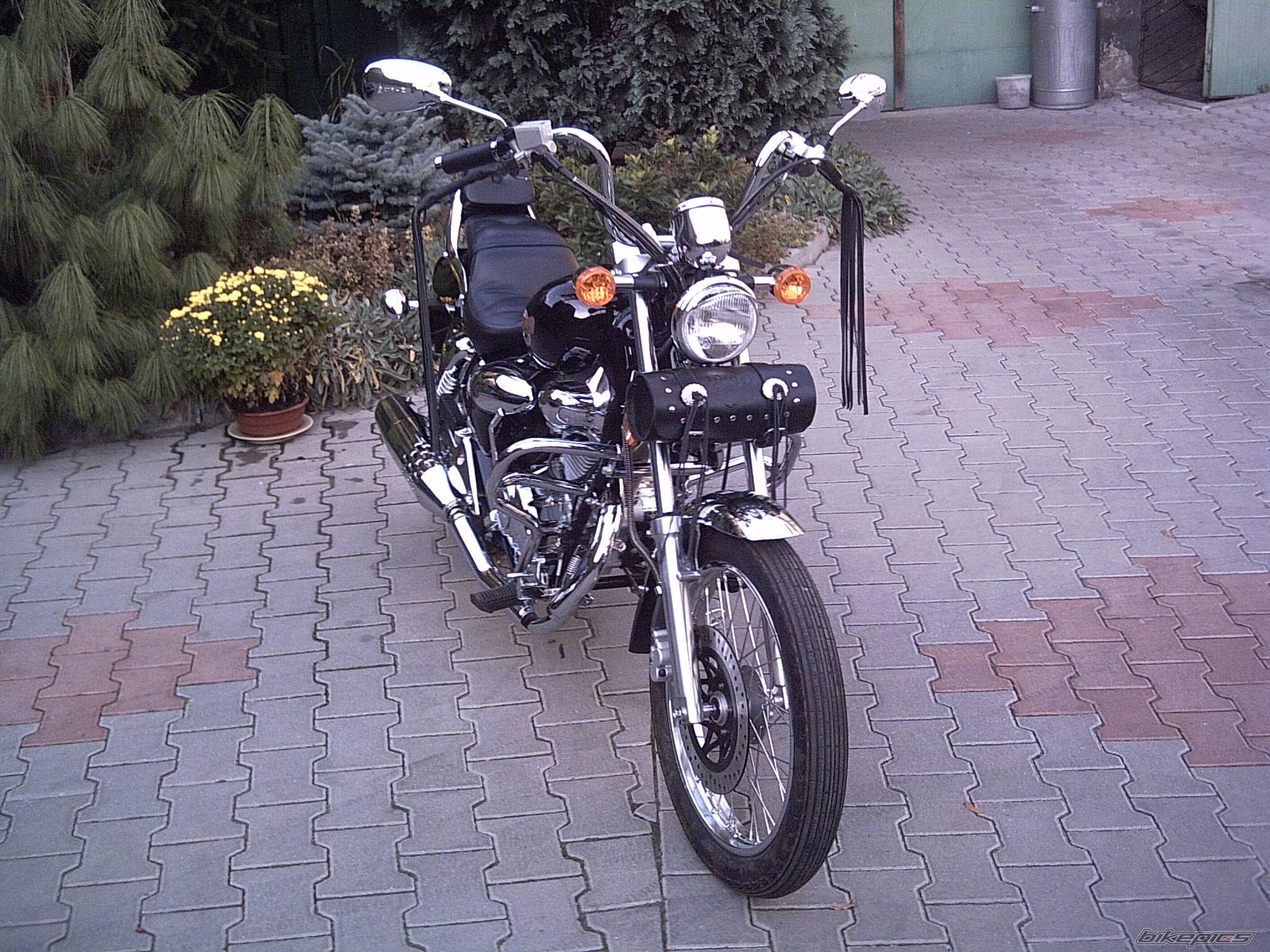 Photo 455697