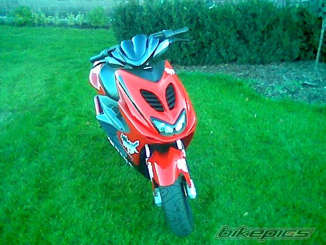 Photo 455776