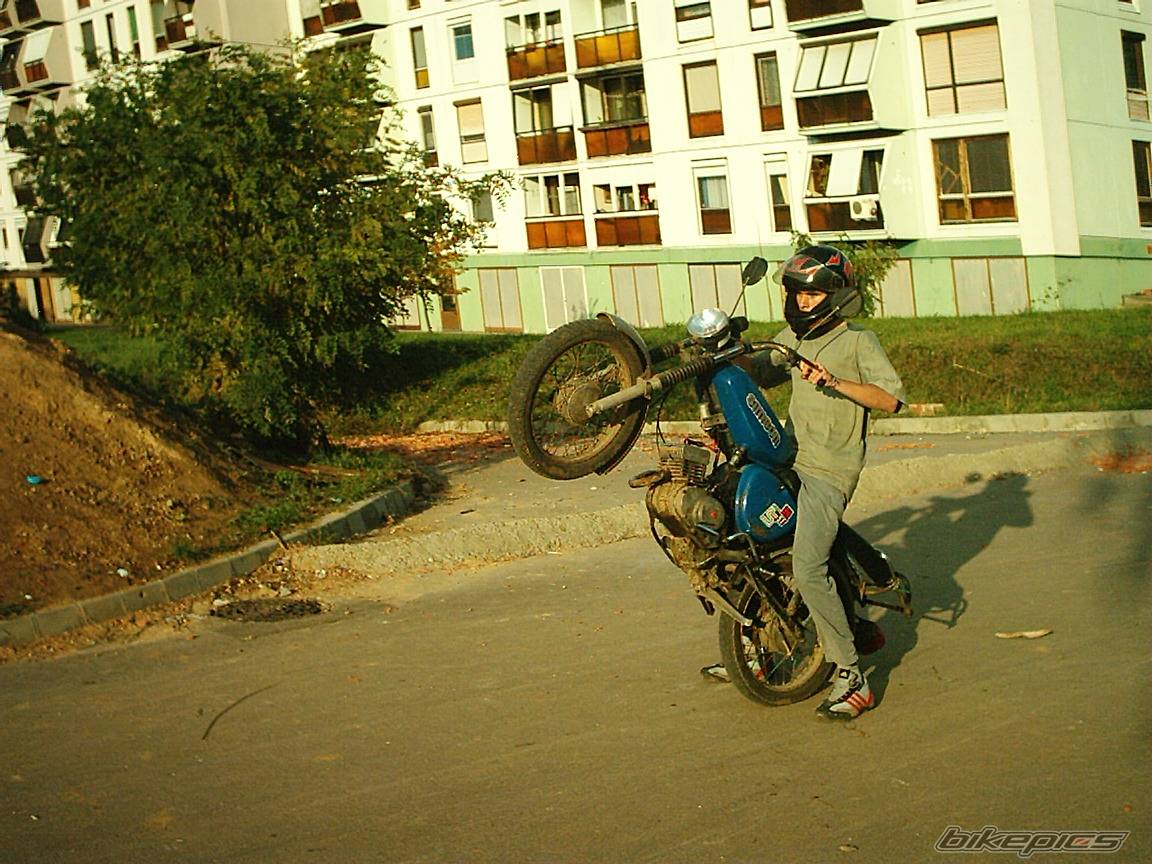 Photo 455852