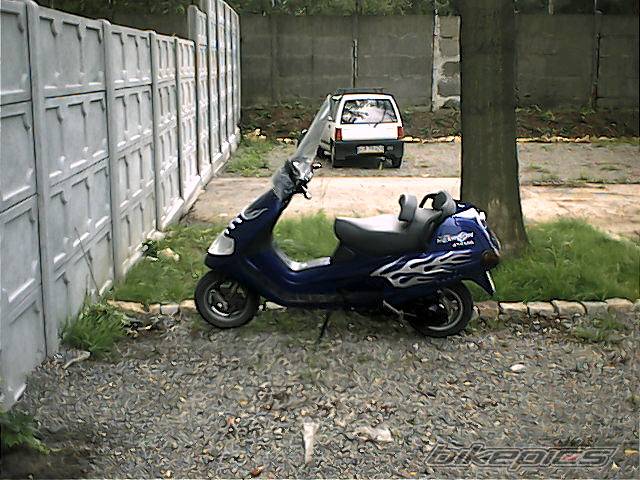 Photo 455901