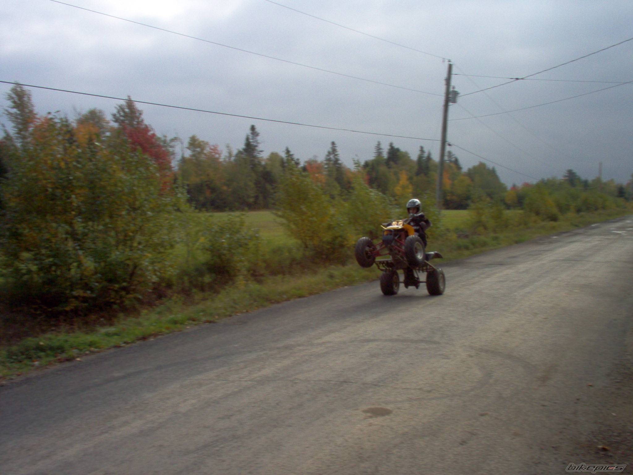 Photo 455969
