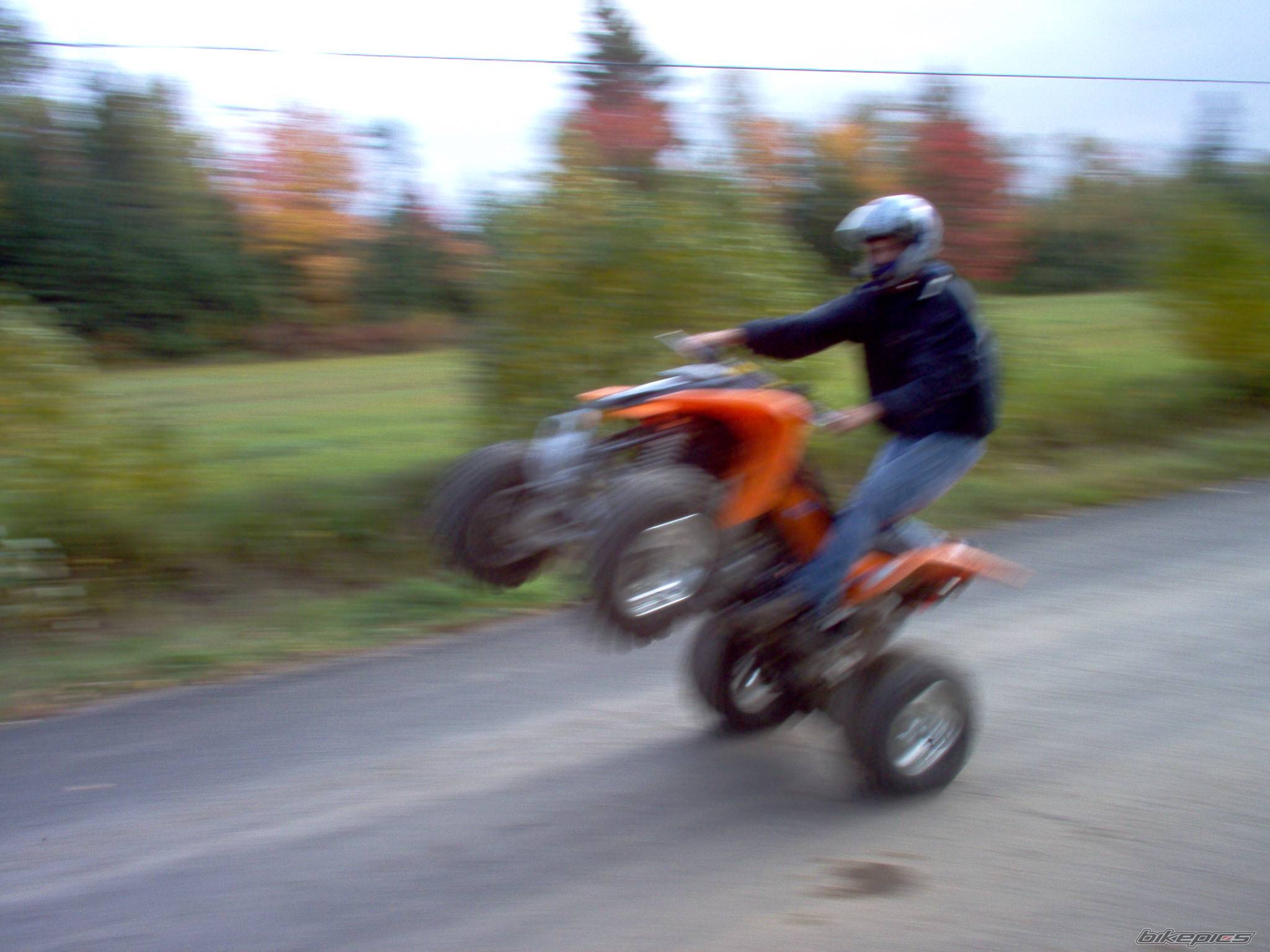 Photo 455974