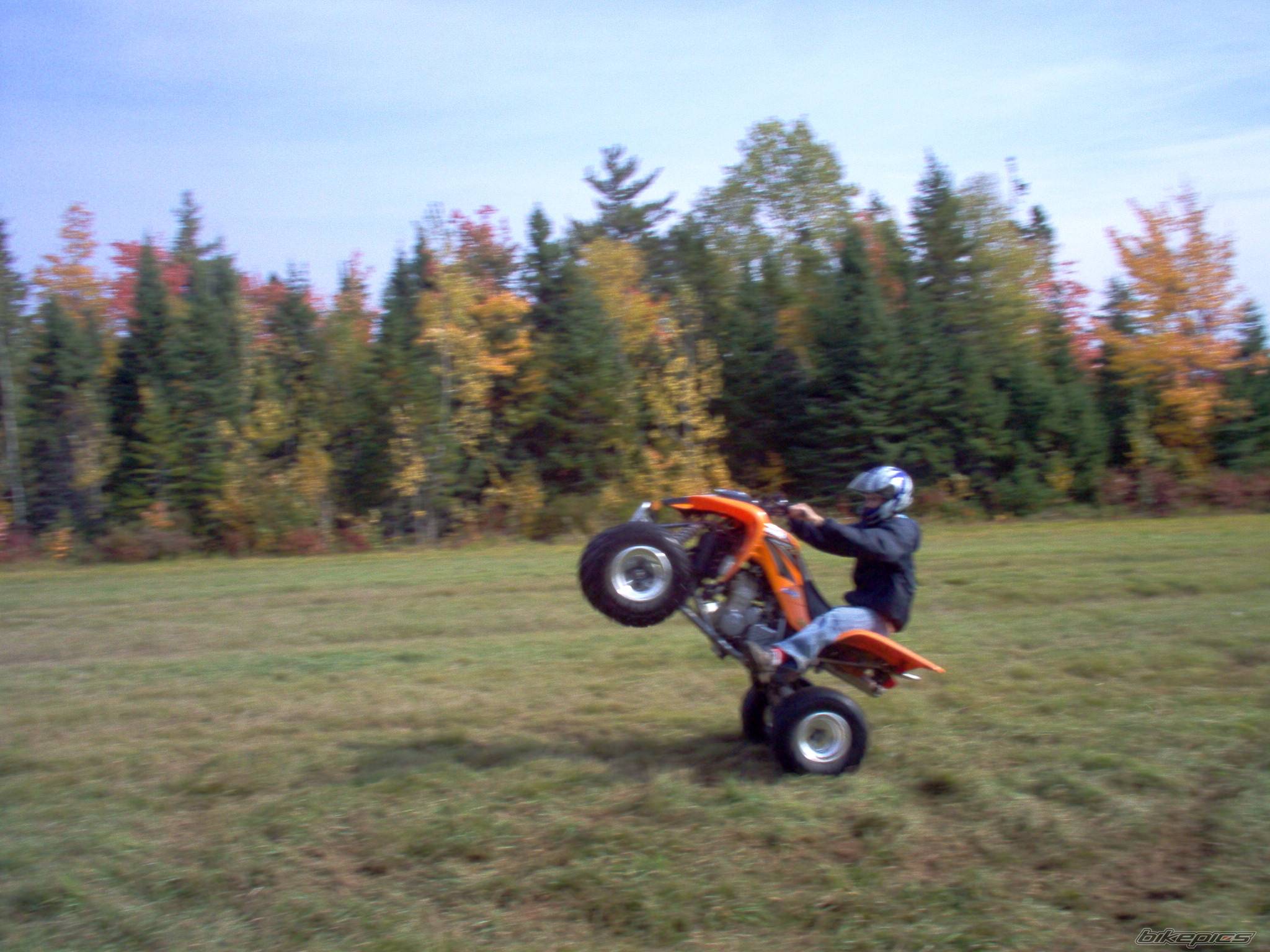 Photo 455986
