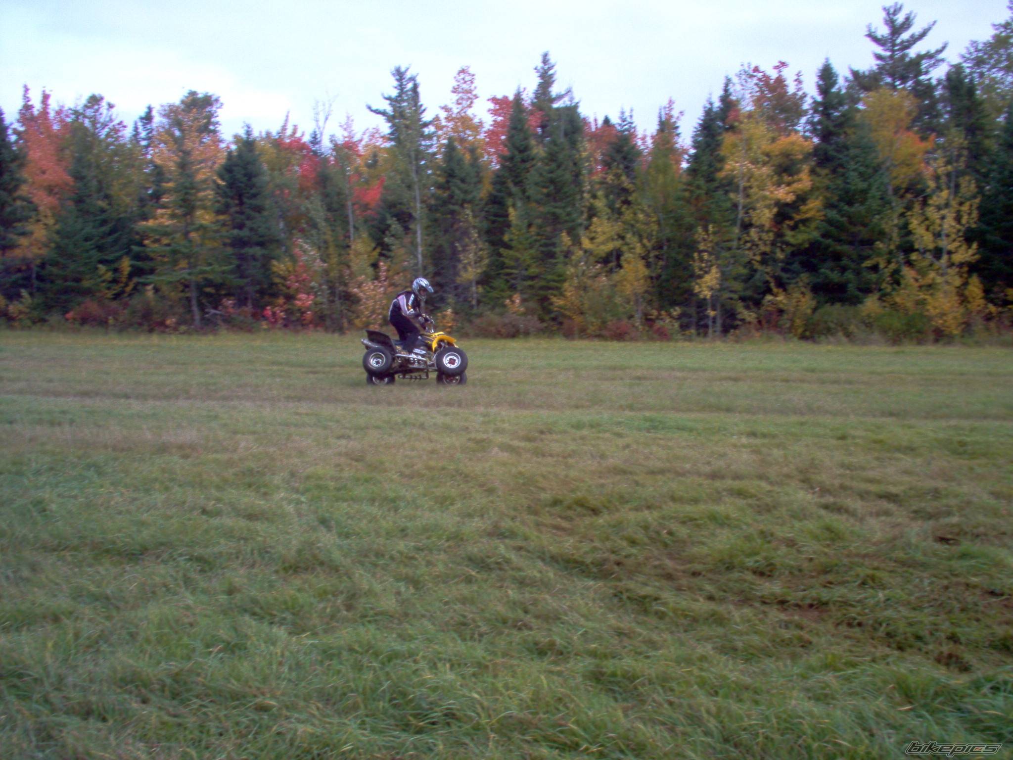 Photo 456132
