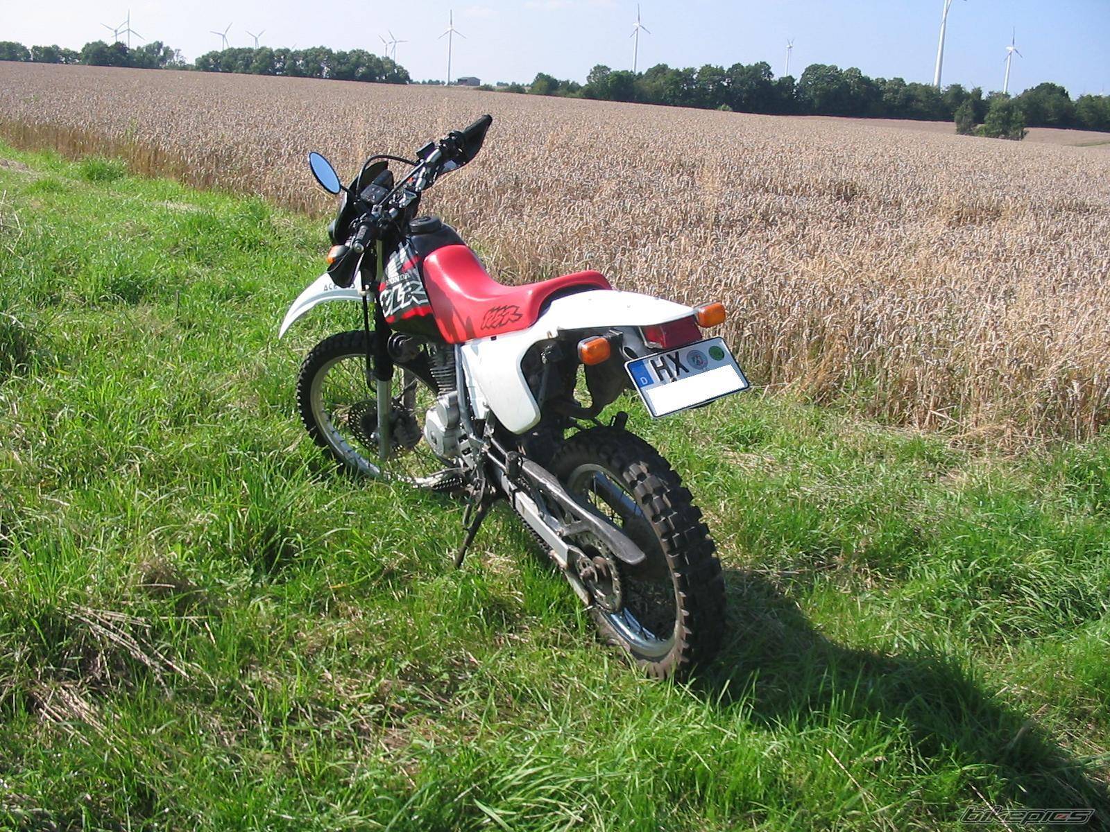 Bike Photo 456241
