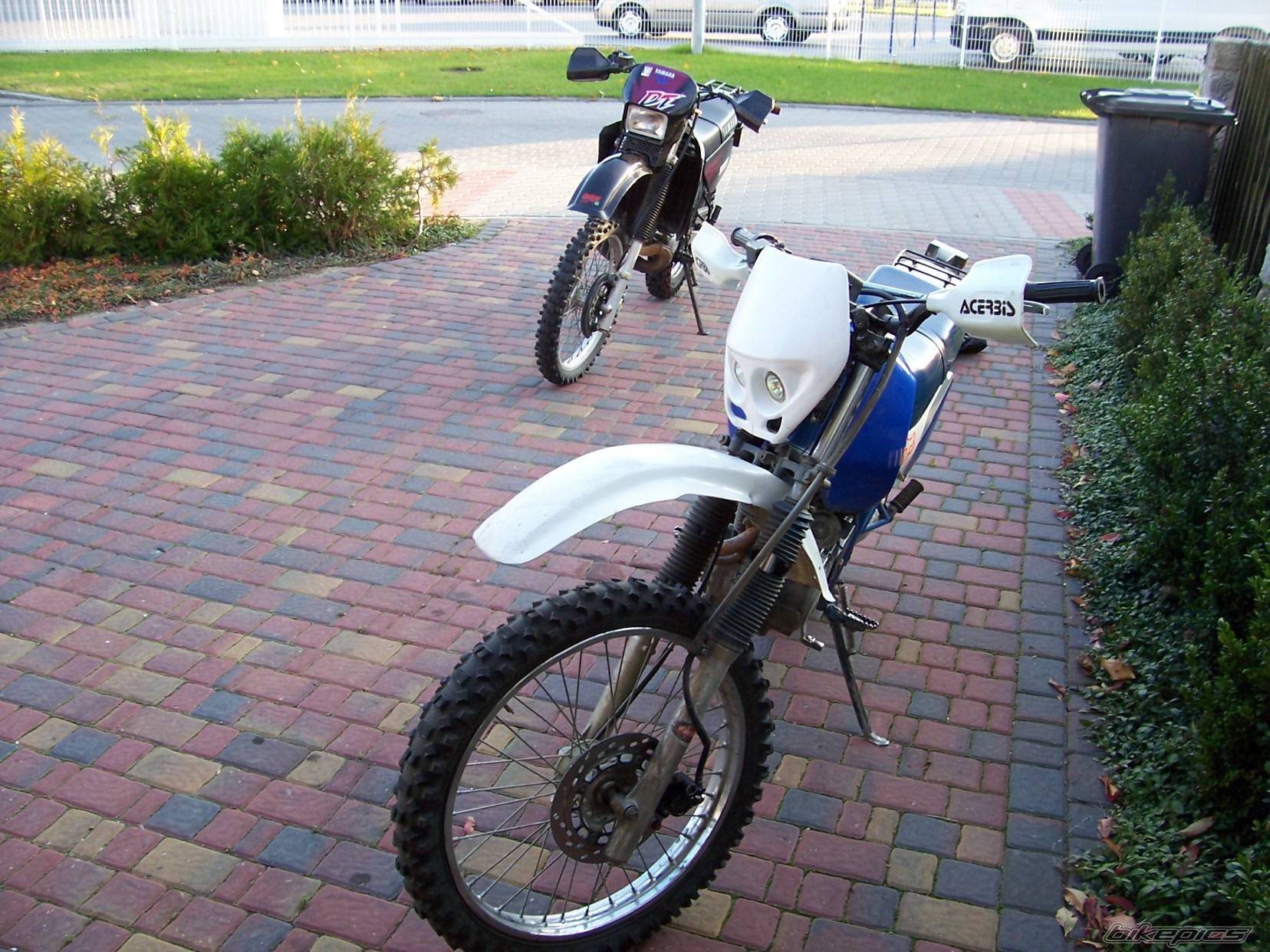 Photo 456299
