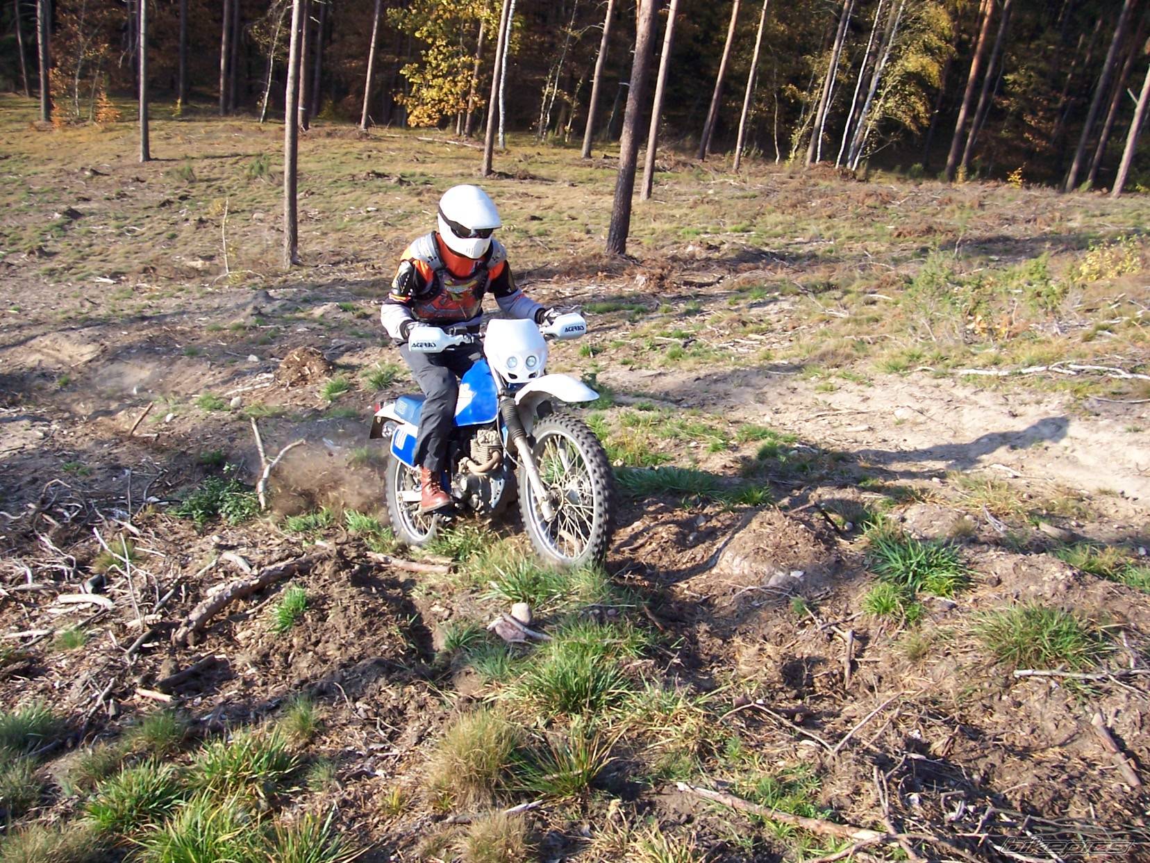 Photo 456316