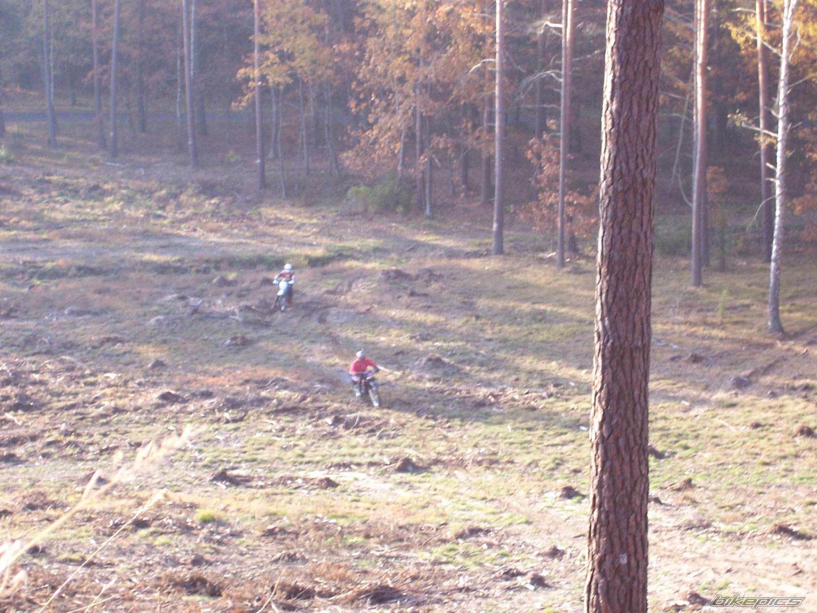 Photo 456321