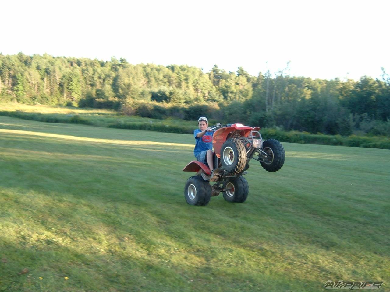 Photo 456322