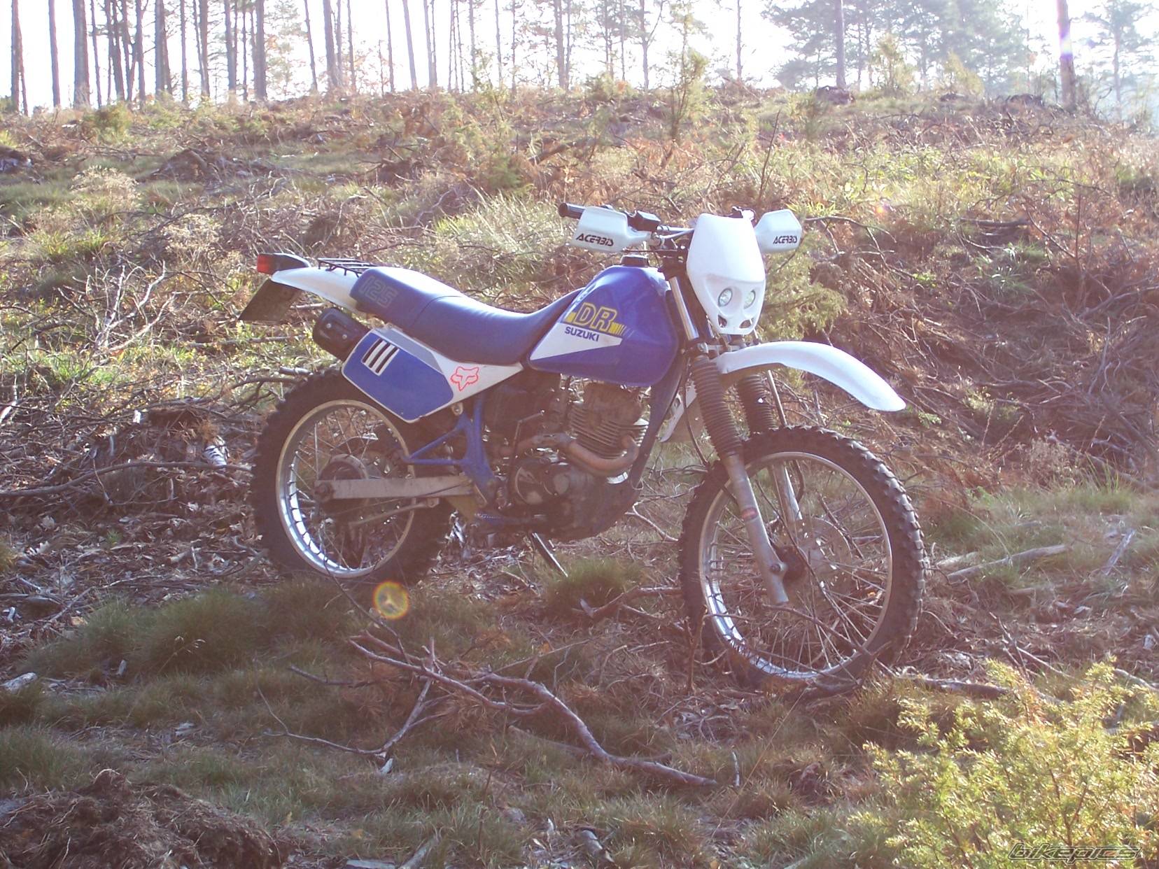 Bike Photo 456329