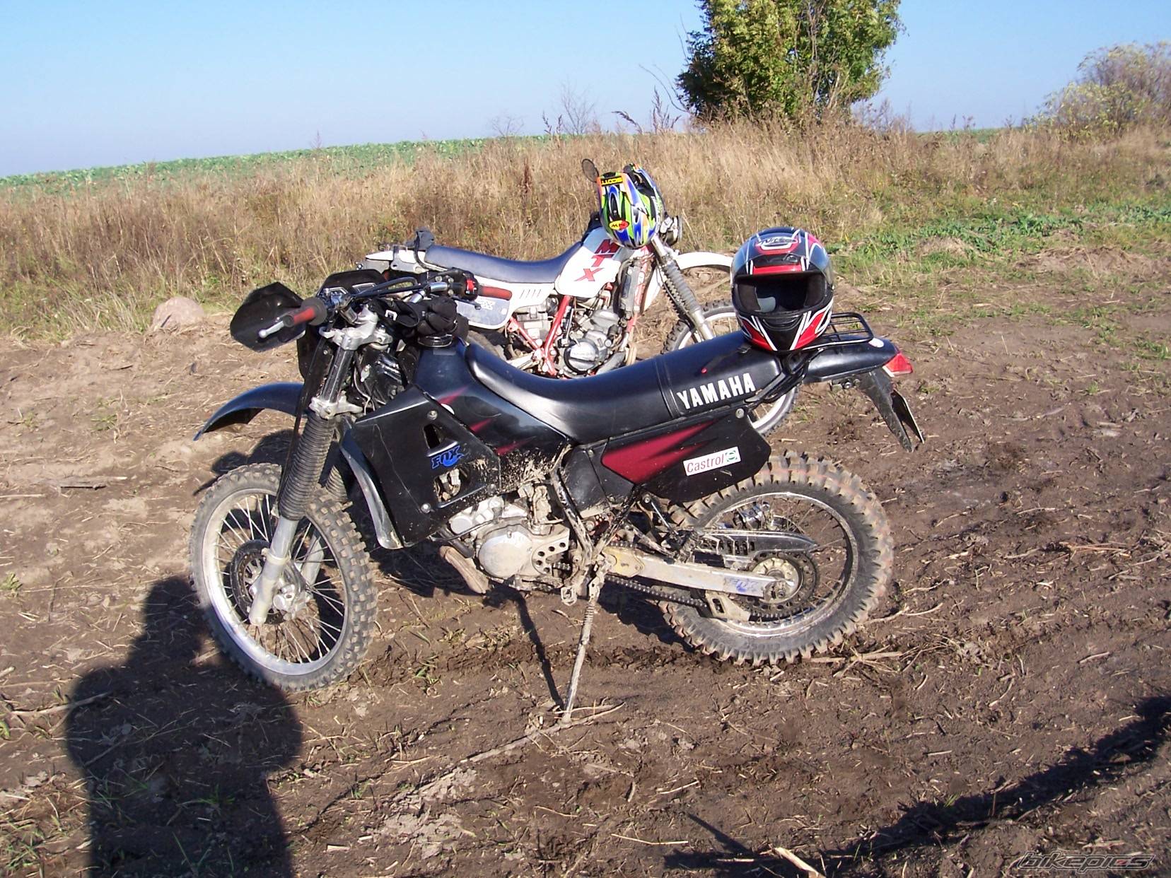 Photo 456332
