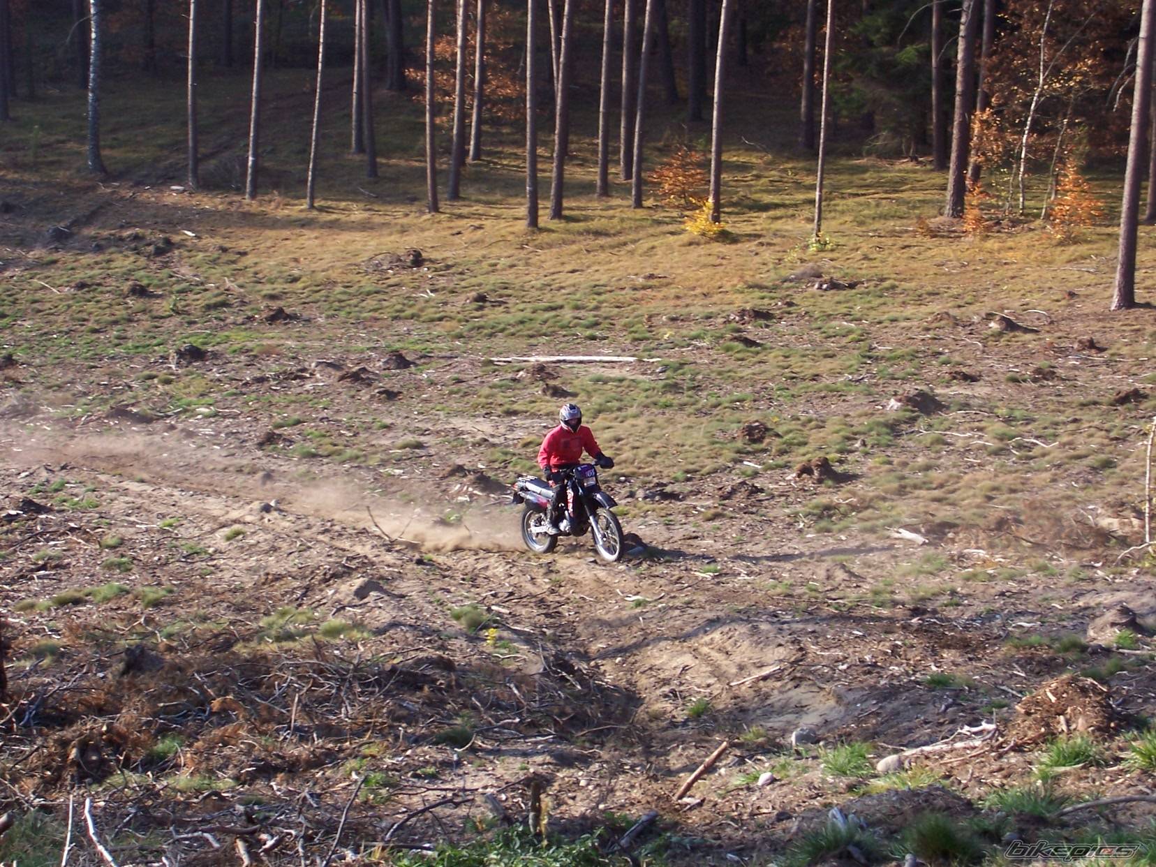 Bike Photo 456337