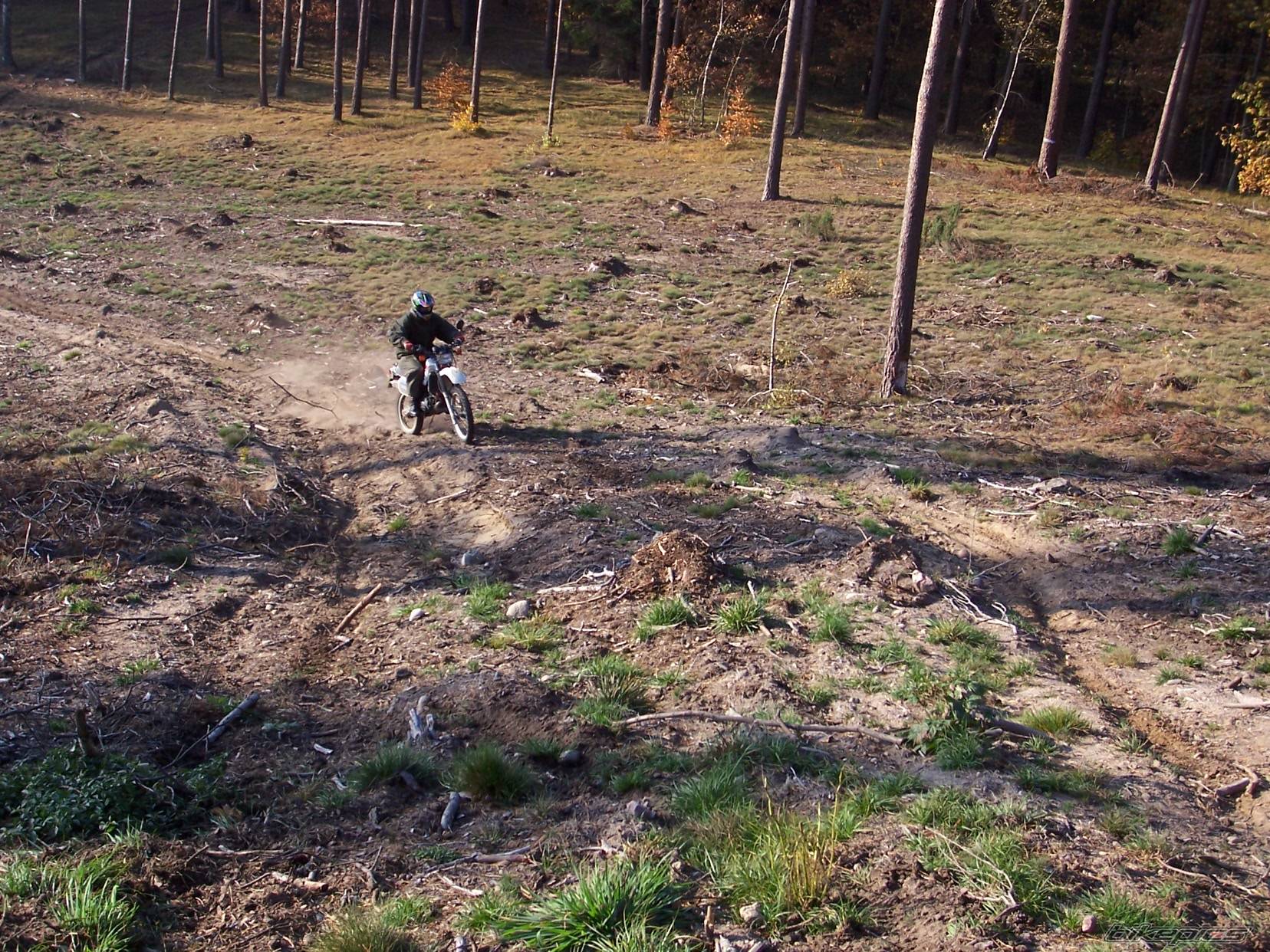 Photo 456340