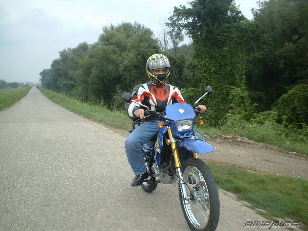 Photo 456457