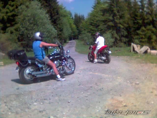 Photo 456583