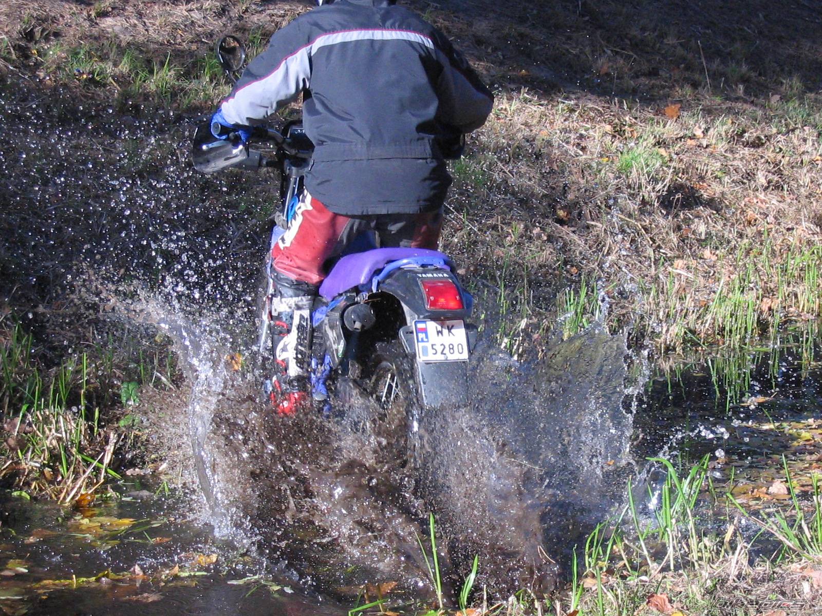 Bike Photo 456641