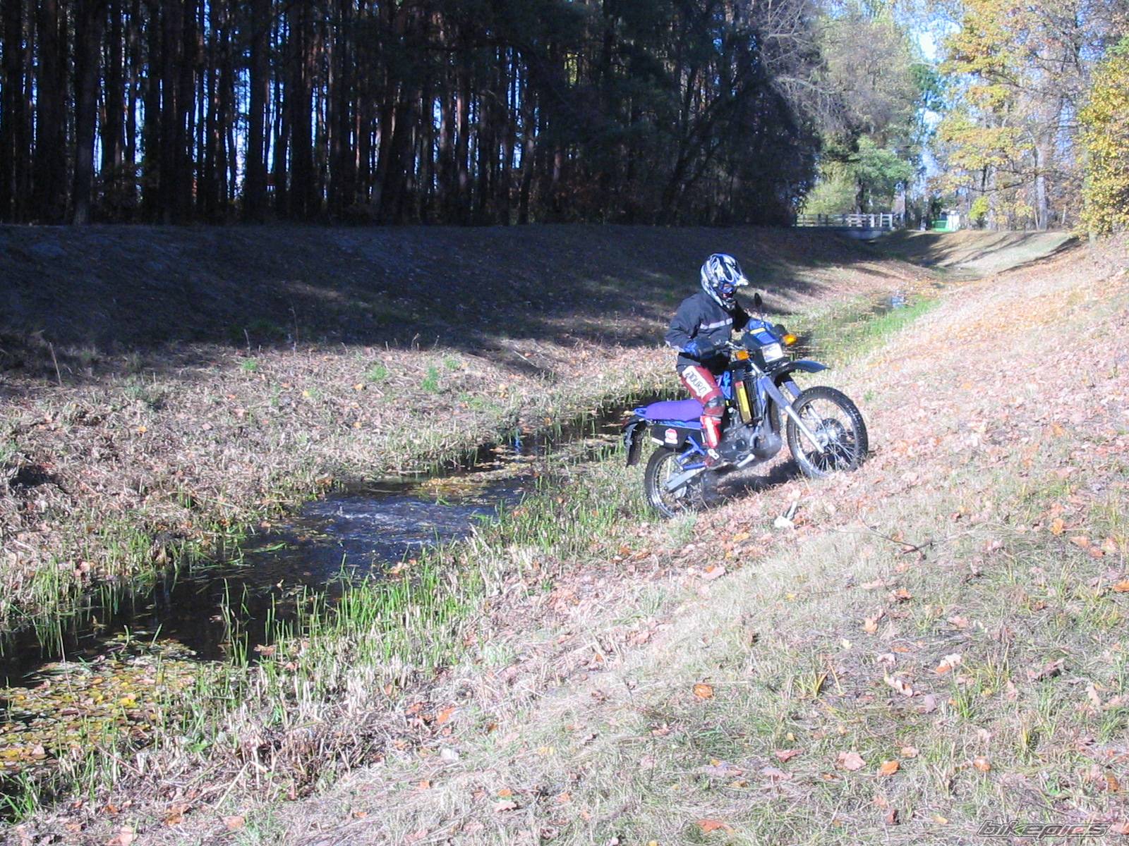 Bike Photo 456642
