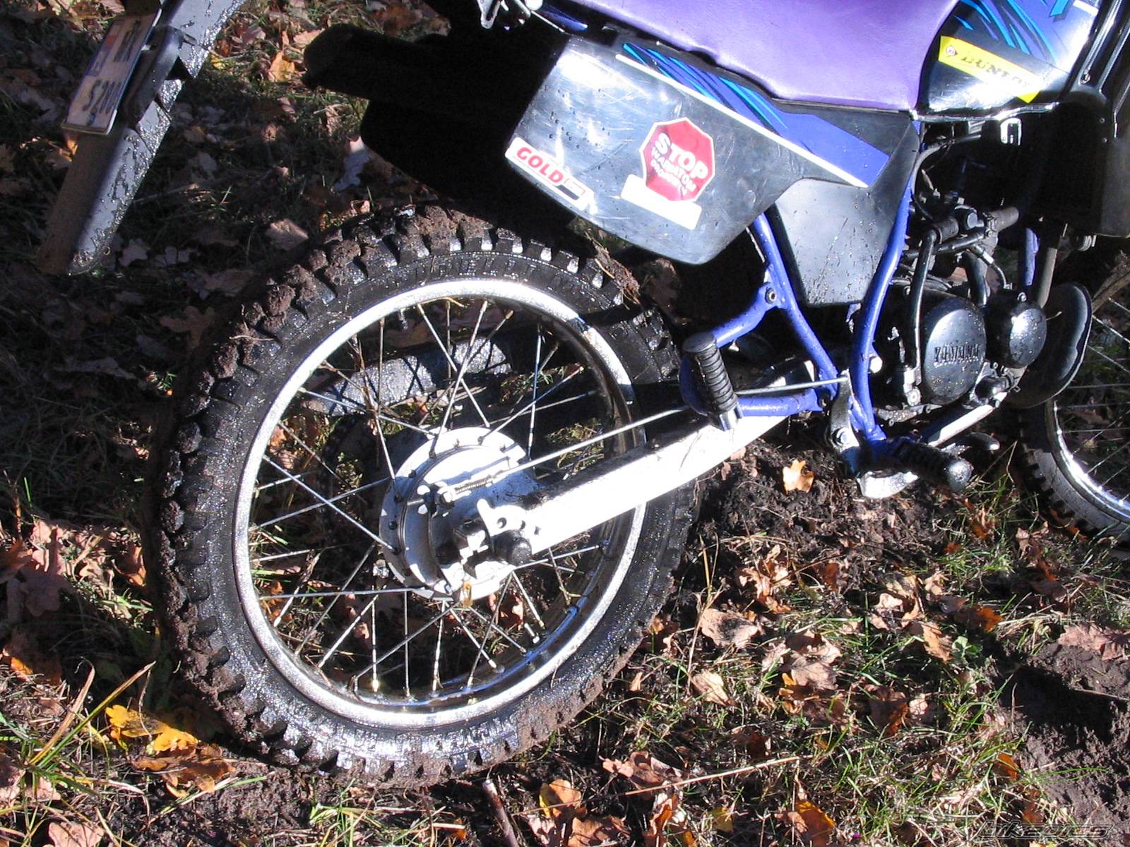 Bike Photo 456643