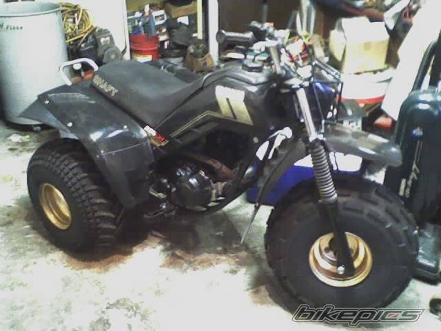 Photo 456693
