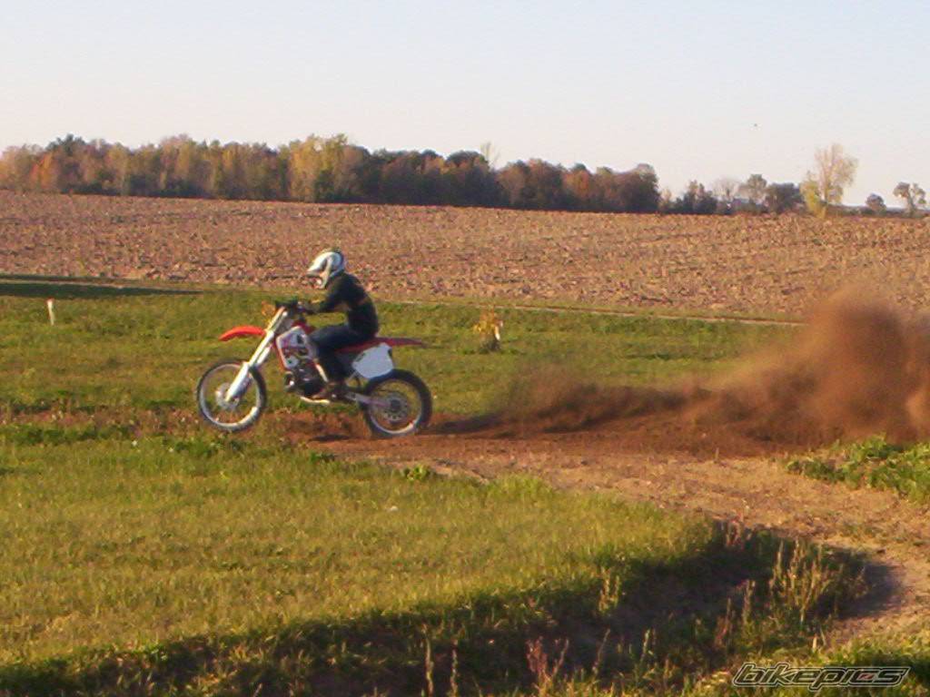 Photo 456731