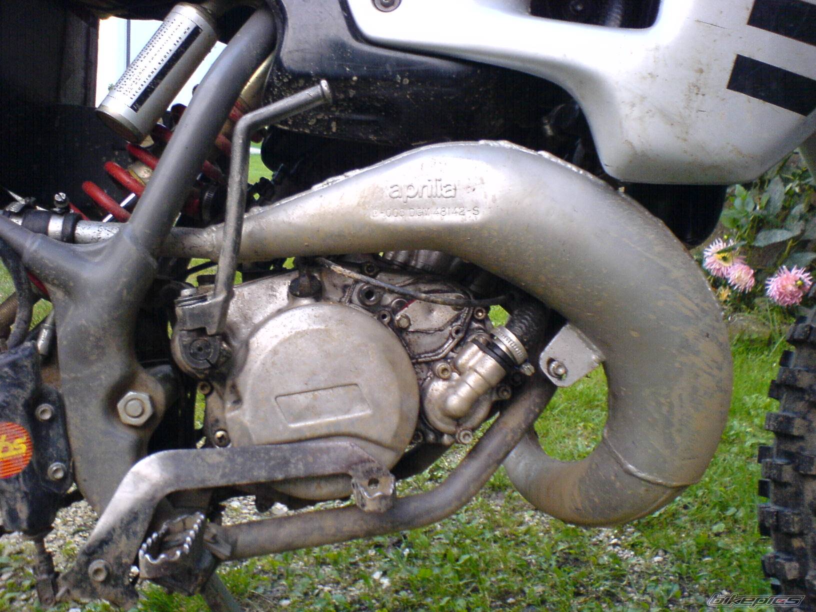 Bike Photo 456962