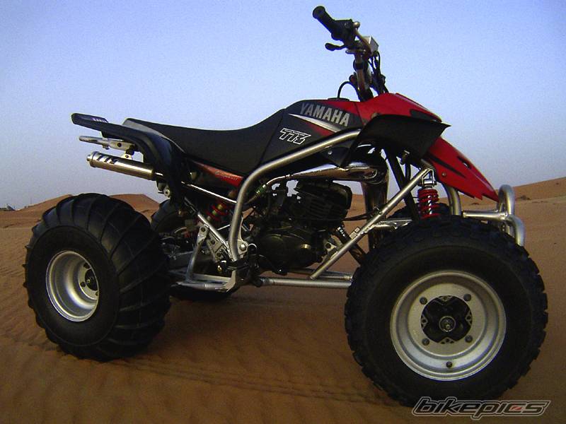Bike Photo 45698