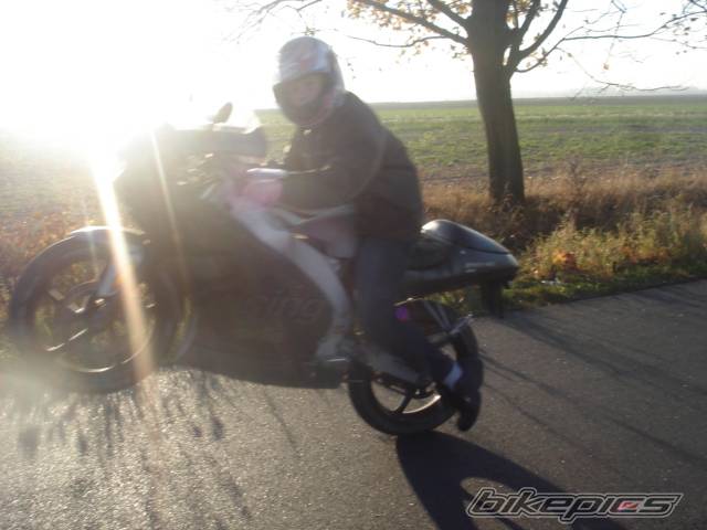 Photo 457085