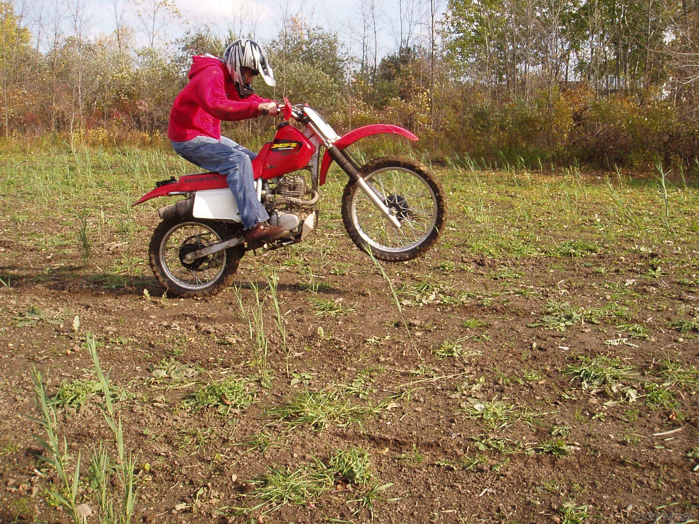 Bike Photo 457198