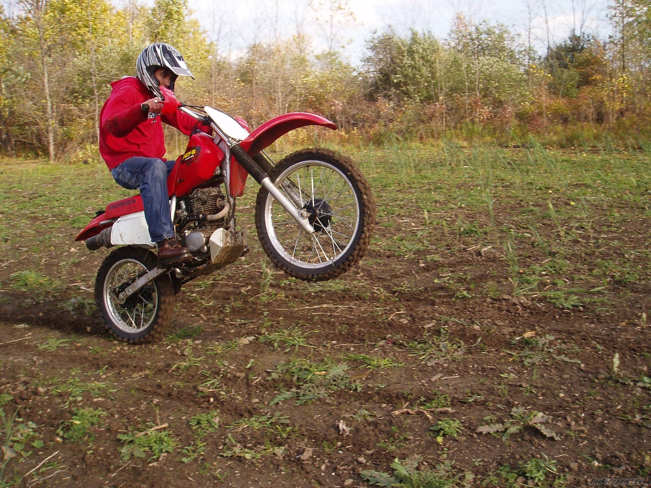 Bike Photo 457200