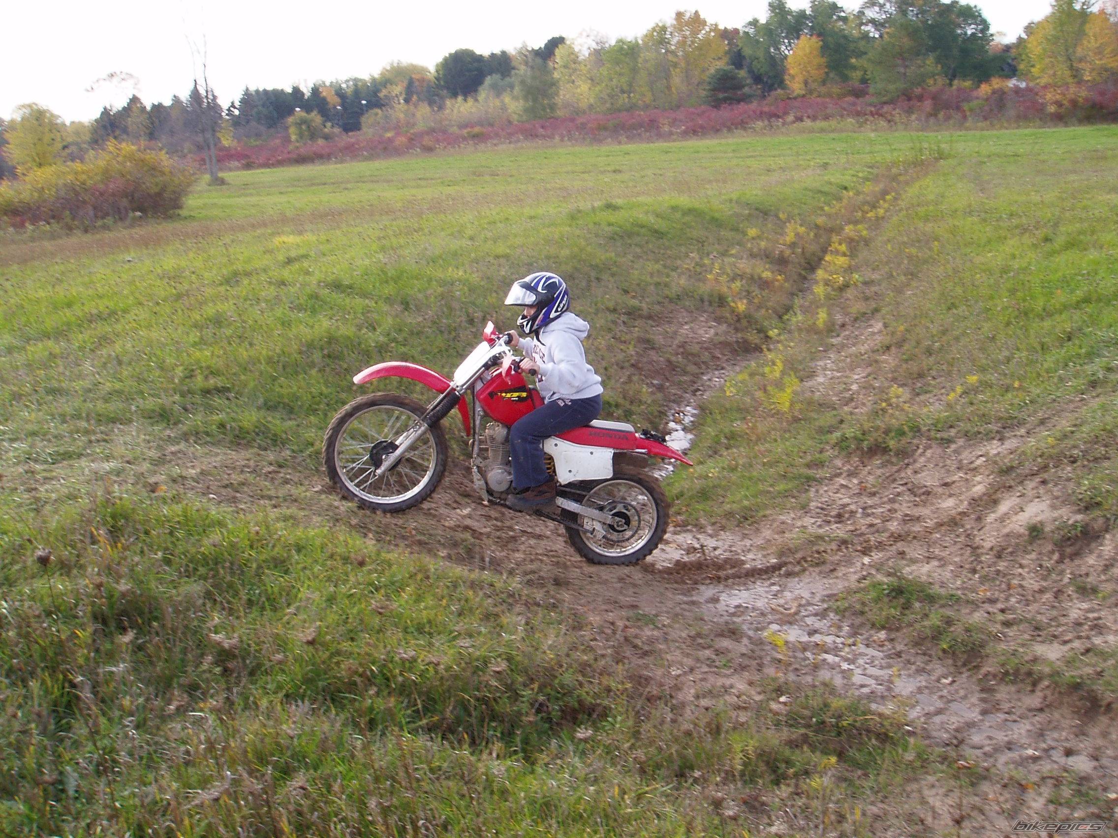 Photo 457201