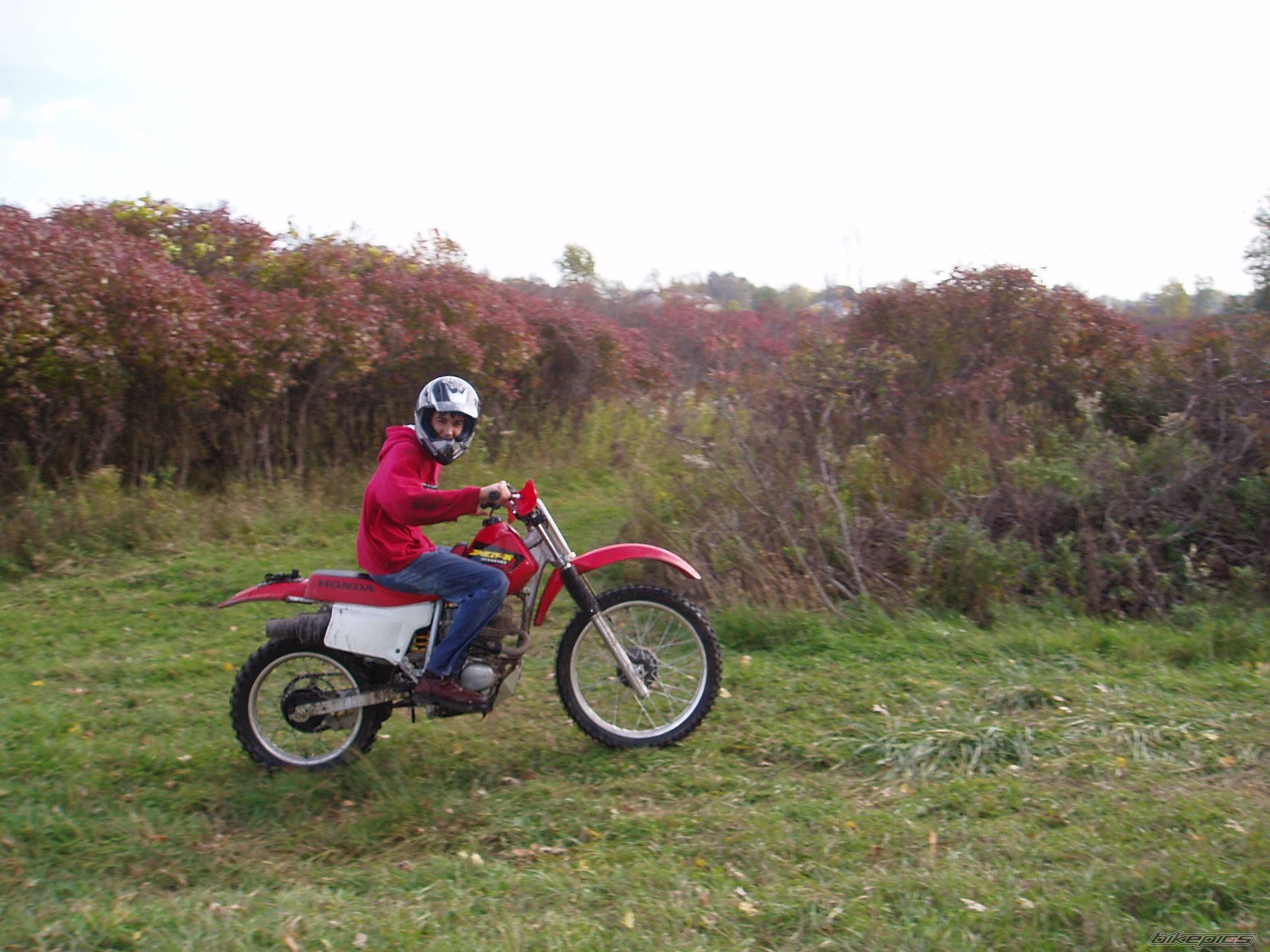 Photo 457210
