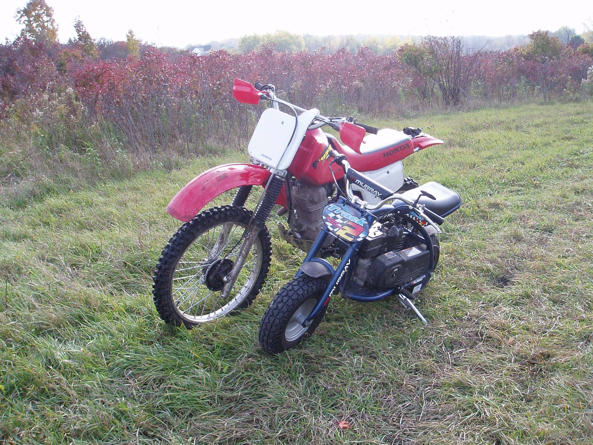 Photo 457213