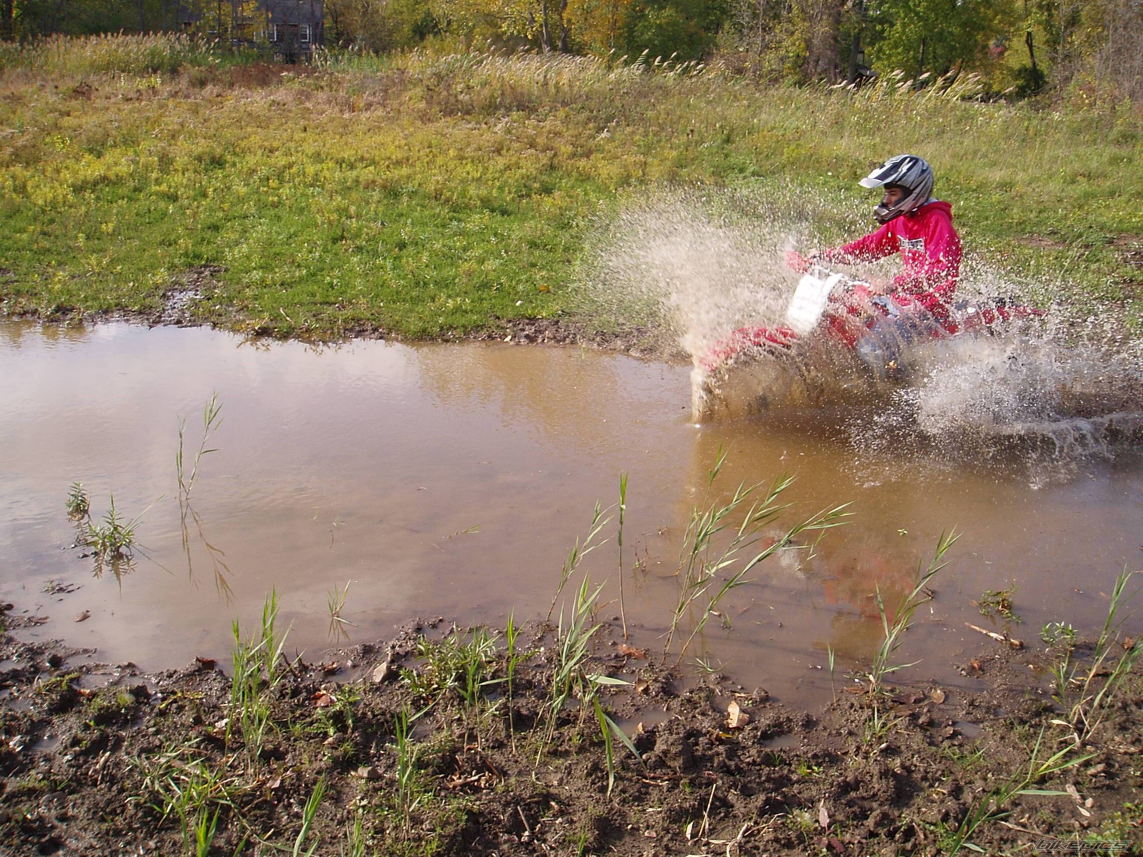 Photo 457219