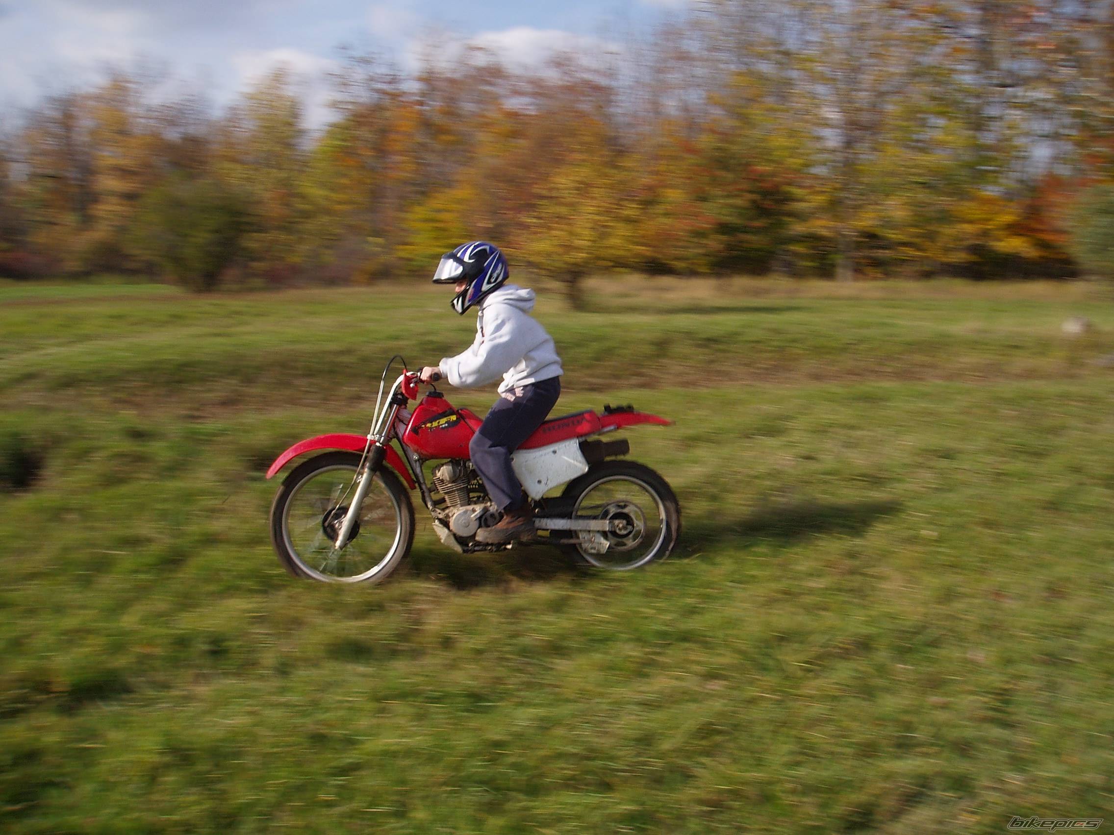 Photo 457222