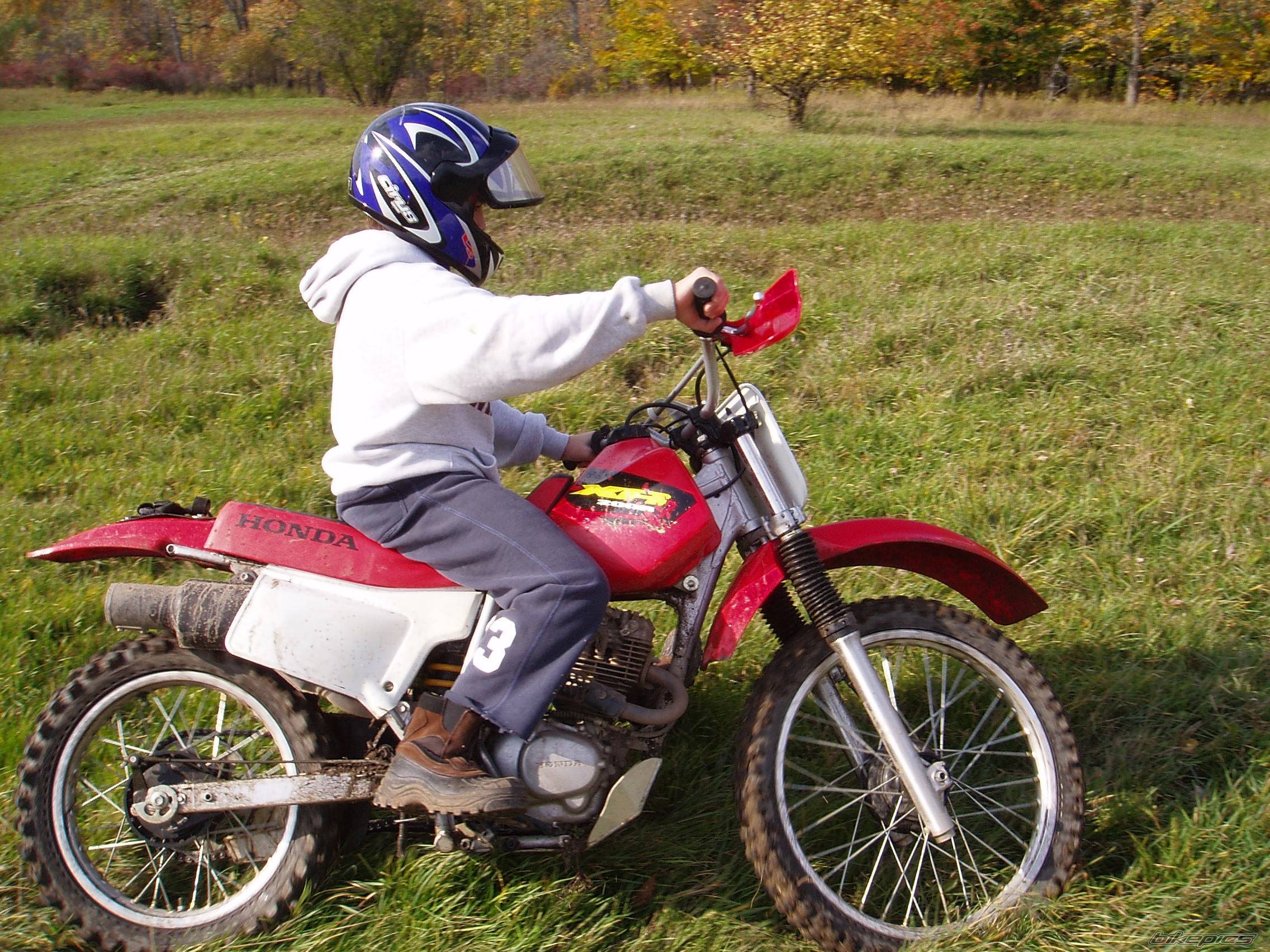 Photo 457223