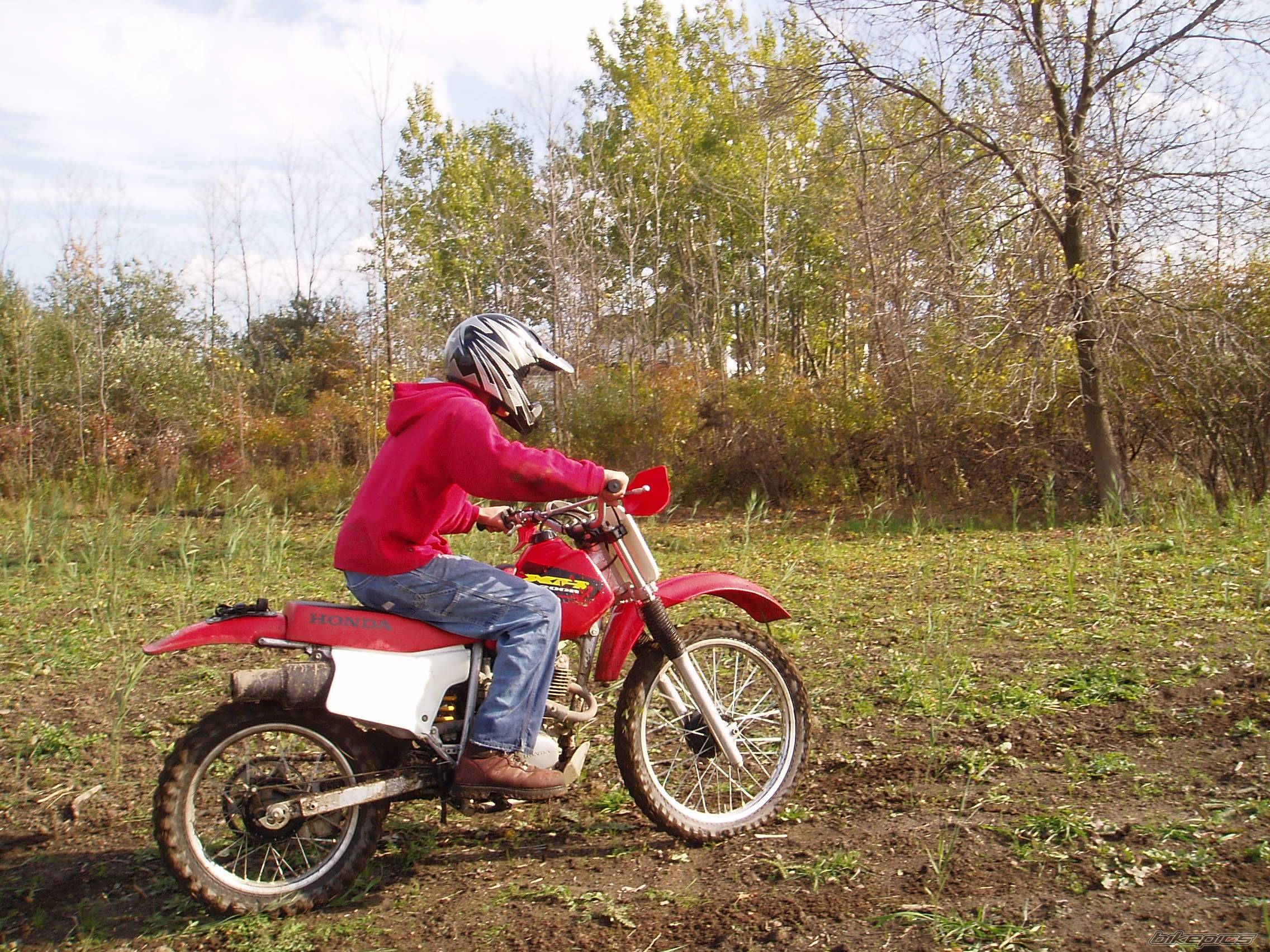 Photo 457224