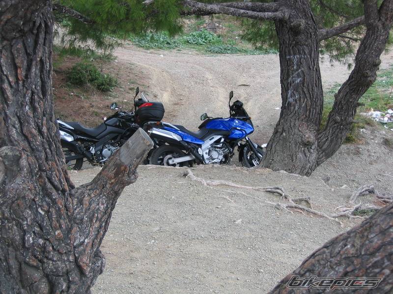 Photo 457244