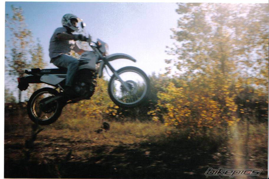 Photo 457323