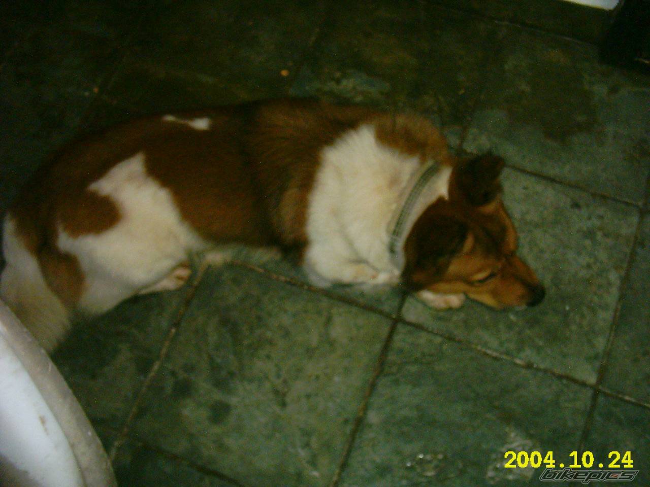 Photo 457369
