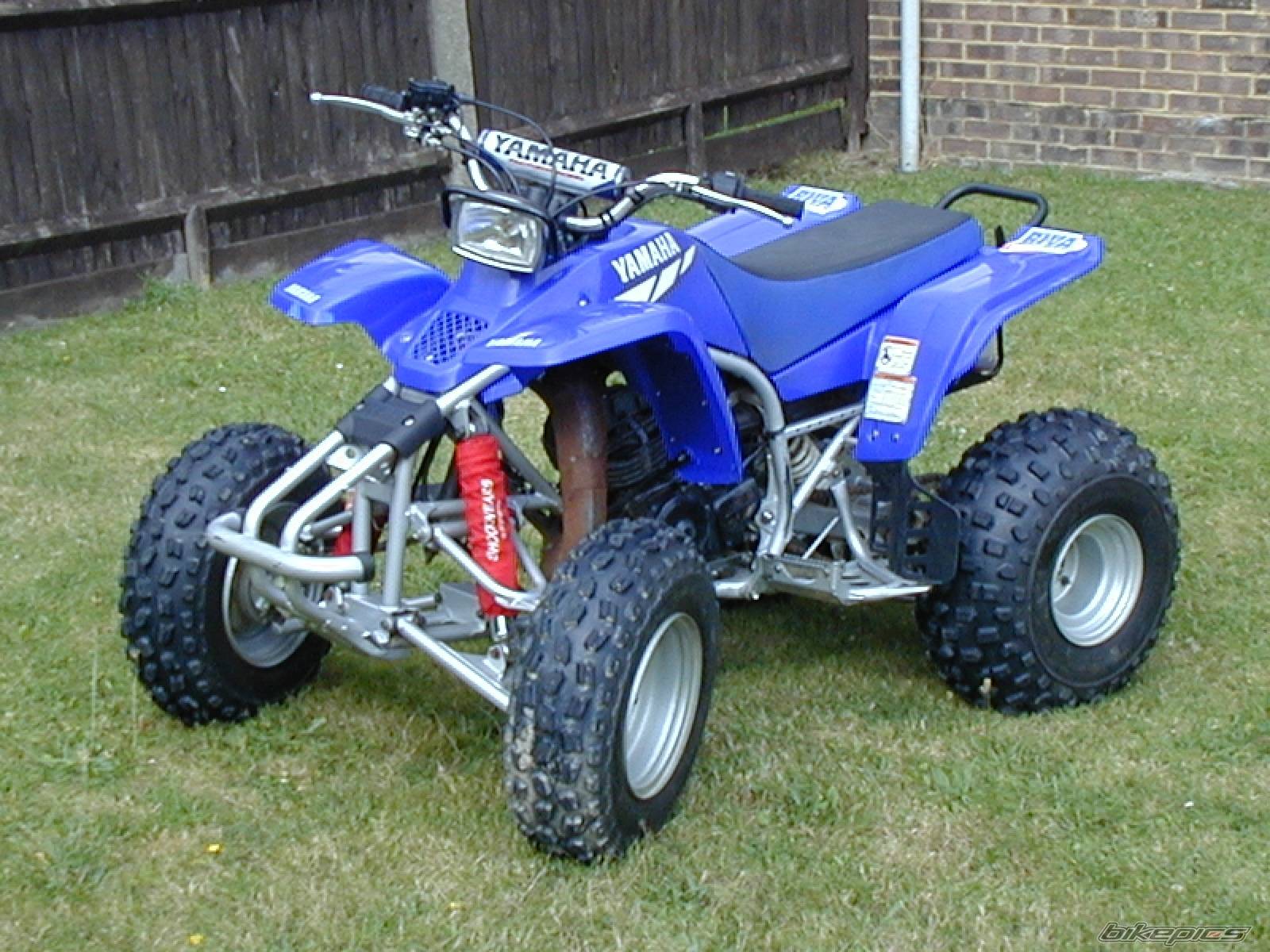 Photo 457395