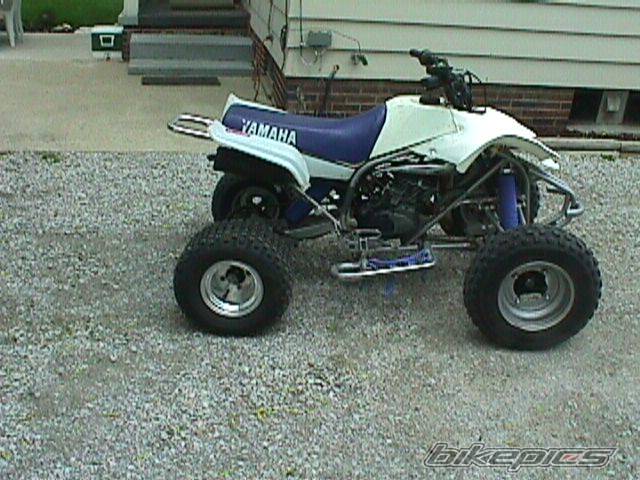 Photo 45749