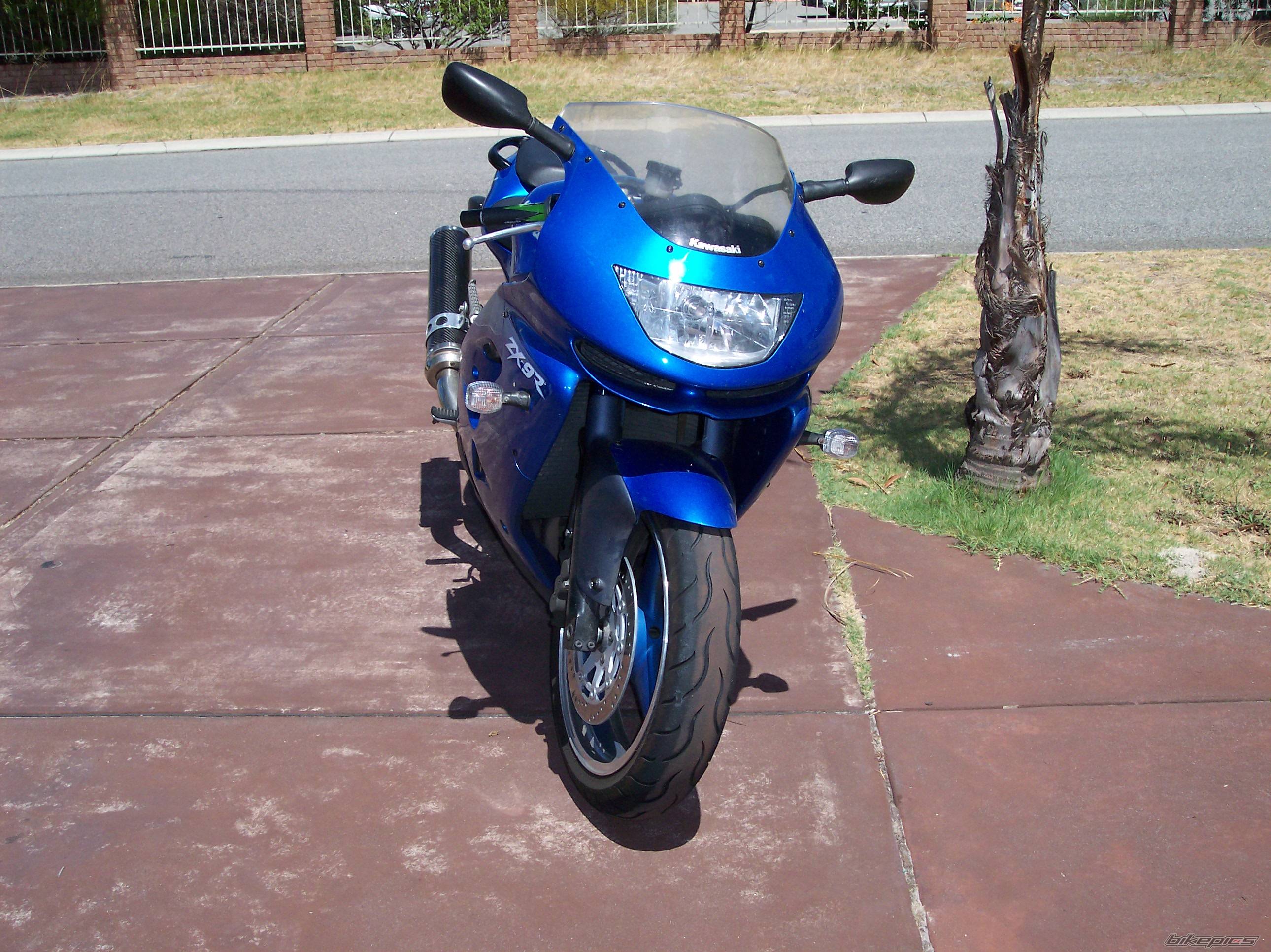 Photo 457547