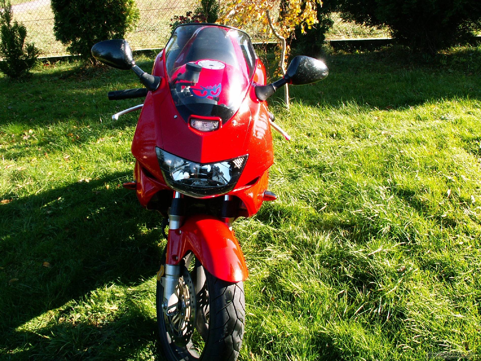Bike Photo 457566