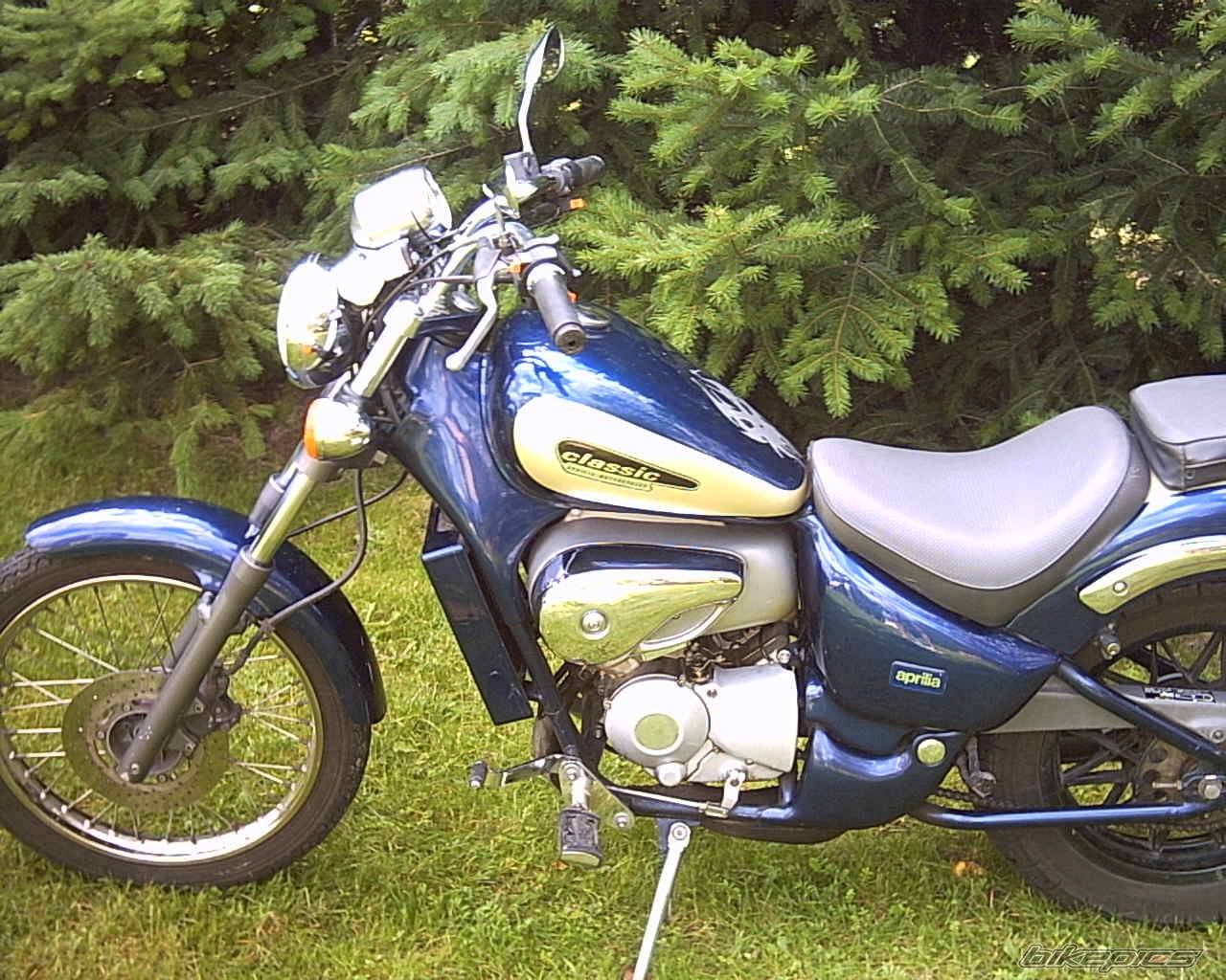 Bike Photo 457572