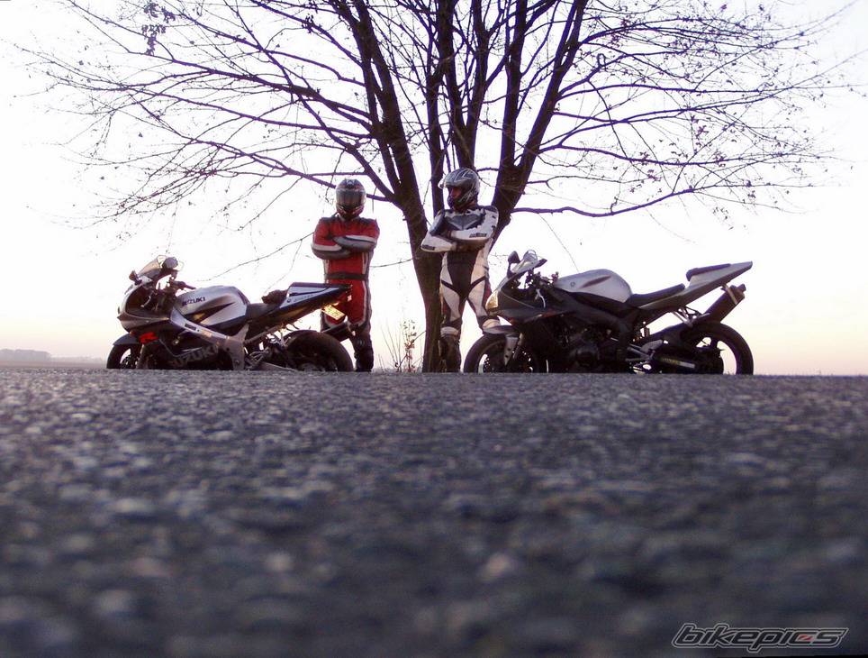 Photo 457574