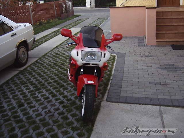 Photo 457678